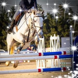 Meet your Posher, Ava